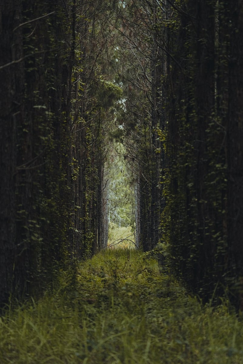 Secret Pathways